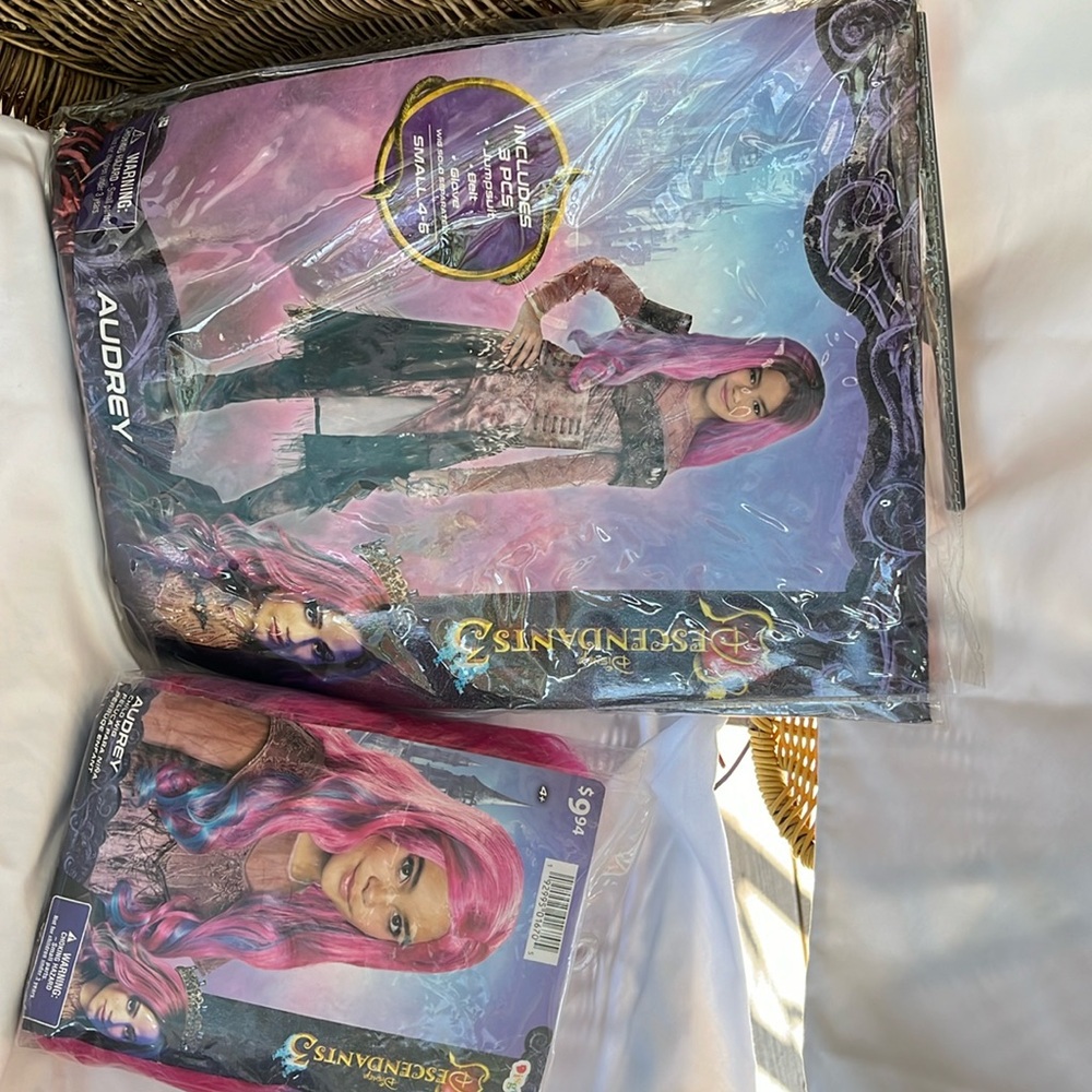 Disney Descendants 3 Audrey Costume